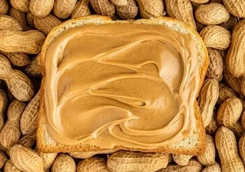 Peanut butter toast on bed of peanuts